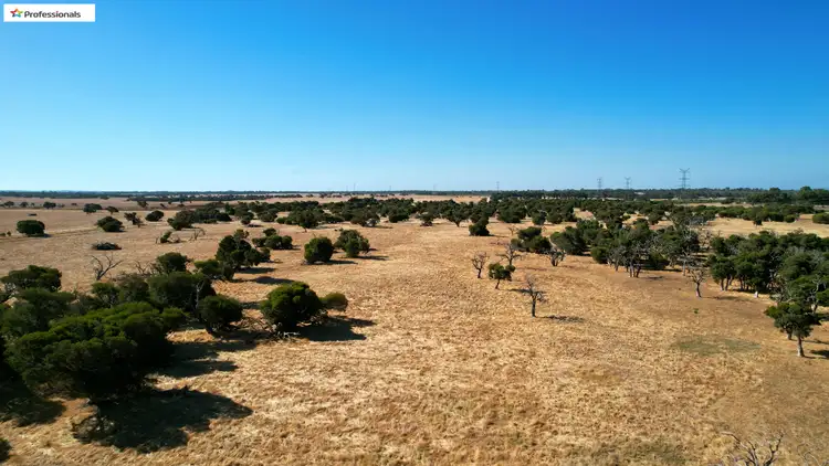 Seventh view of Homely rural property listing, 357 Landwehr Rd, Waroona WA 6215