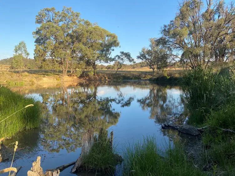 Sixth view of Homely rural property listing, 1671 Lower Piambong Road, Mudgee NSW 2850