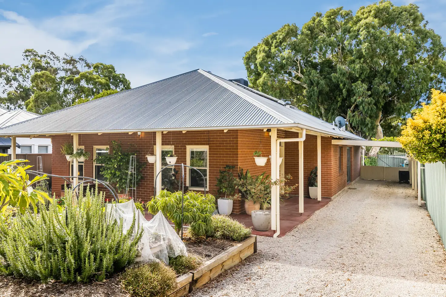 Main view of Homely house listing, 71 Springbank Road, Colonel Light Gardens SA 5041