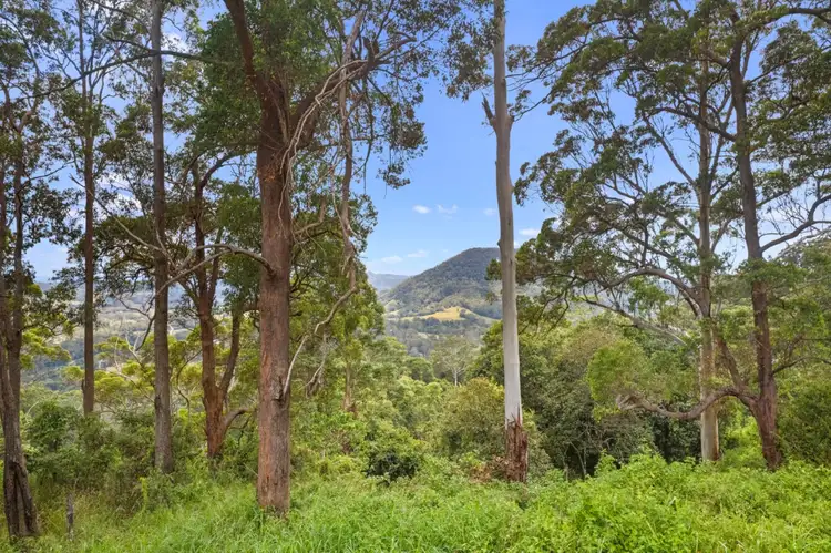 Fourth view of Homely rural property listing, 865 Eumundi Kenilworth Road, Belli Park QLD 4562
