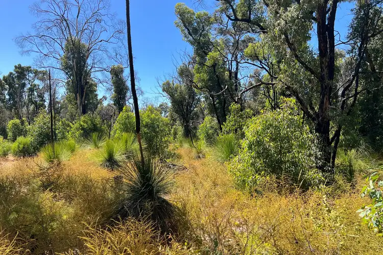 Second view of Homely land listing, 104 Hargraves Crescent, Gidgegannup WA 6083