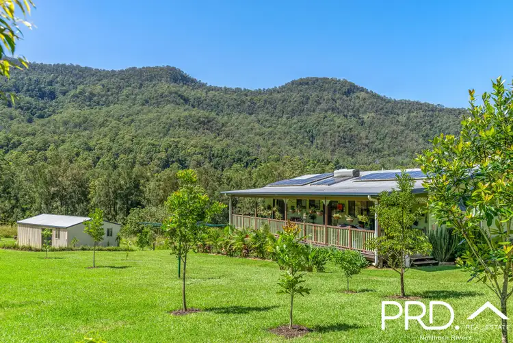 1076 Green Pigeon Road, Kyogle NSW 2474
