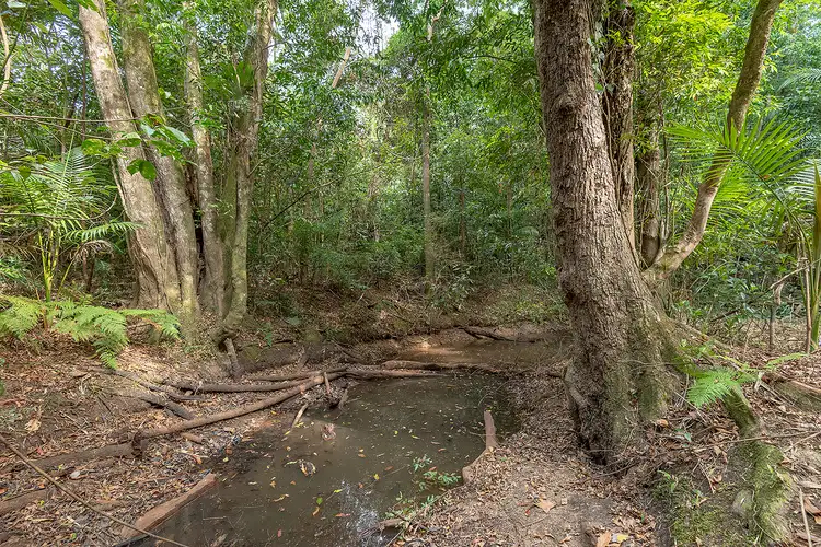 Third view of Homely land listing, 141 Mary River Road, Cooroy QLD 4563