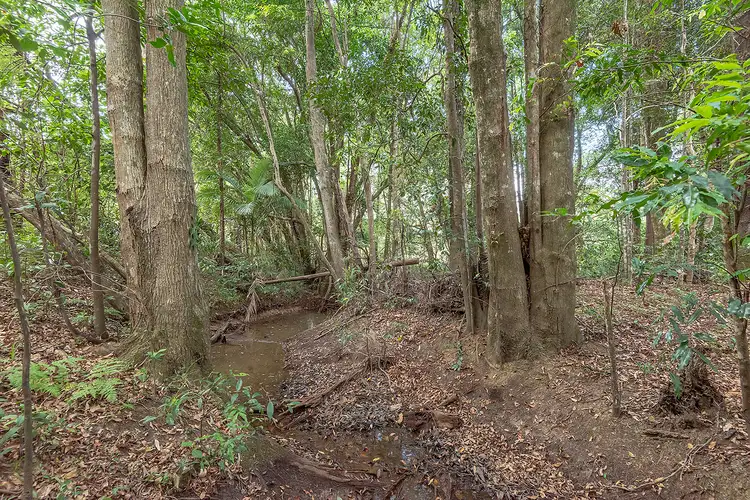 Fourth view of Homely land listing, 141 Mary River Road, Cooroy QLD 4563
