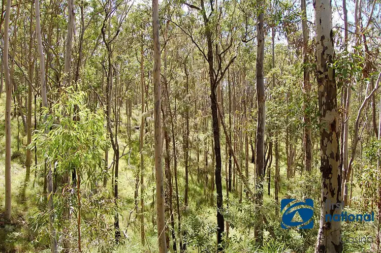 Fourth view of Homely rural property listing, Lot 7 Cyril Smith Circuit, Tabulam NSW 2469
