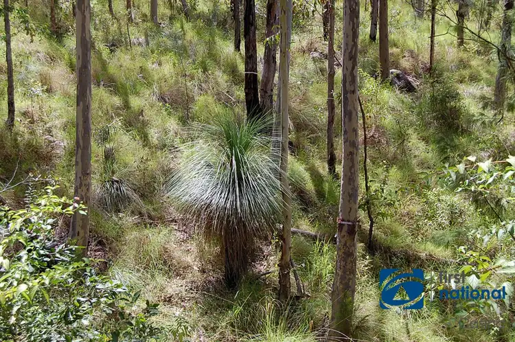 Seventh view of Homely rural property listing, Lot 7 Cyril Smith Circuit, Tabulam NSW 2469