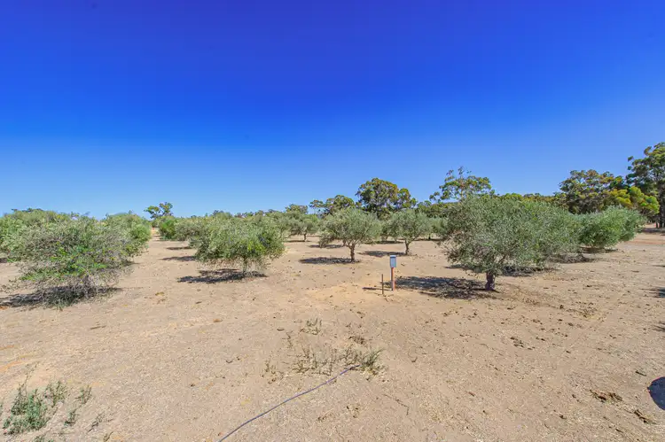 Sixth view of Homely land listing, 74 Higgs Place, Bakers Hill WA 6562