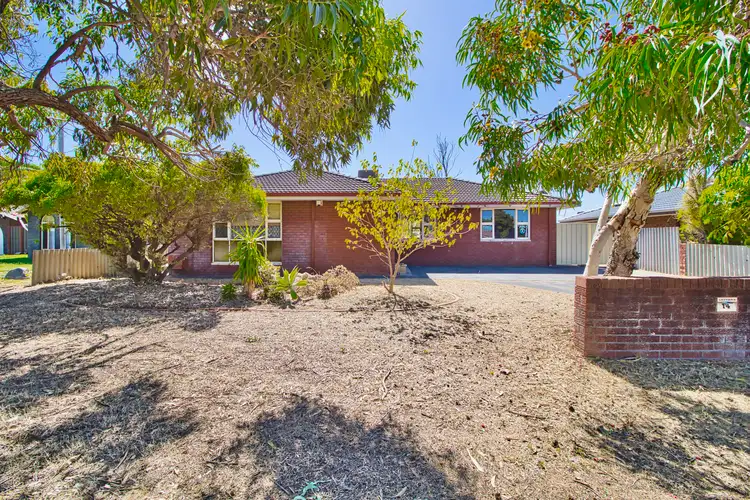 14 Markaling Close, Hillman WA 6168