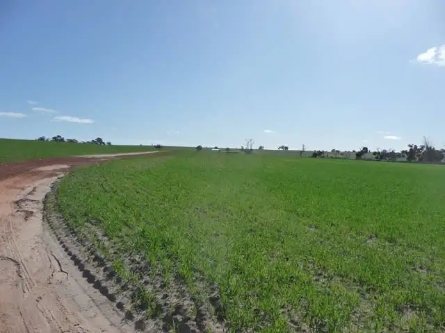 Main view of Homely rural property listing, 1 White Road, Brookton WA 6306