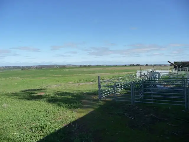 Sixth view of Homely rural property listing, 1 White Road, Brookton WA 6306