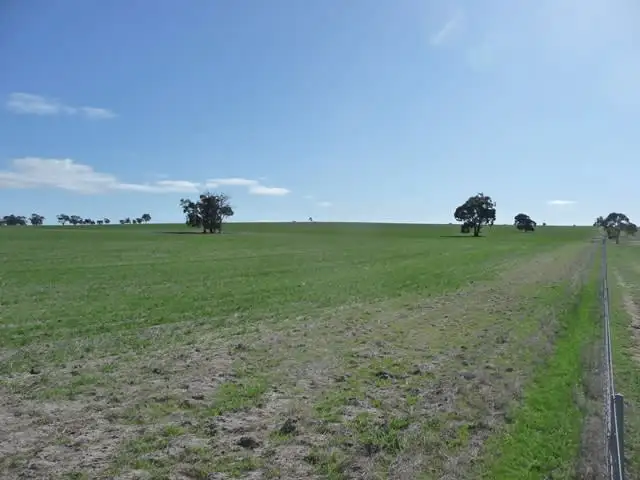 Seventh view of Homely rural property listing, 1 White Road, Brookton WA 6306