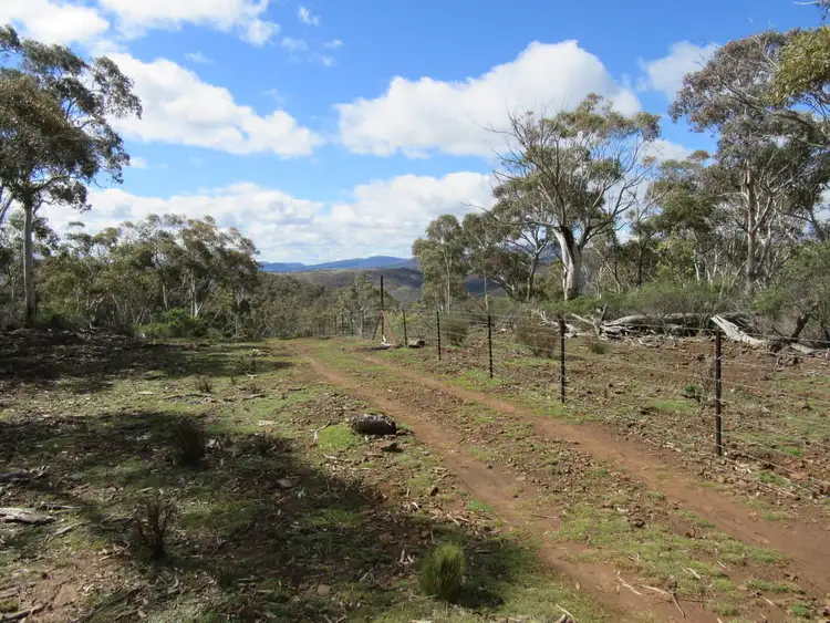 Fourth view of Homely rural property listing, 466 Caddigat Rd, Dry Plain NSW 2630