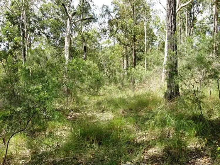 Fourth view of Homely rural property listing, 2541 Gwydir Highway, Ramornie NSW 2460
