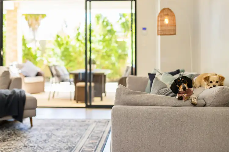 Second view of Homely house listing, 41 Honeyeater Street, Beeliar WA 6164