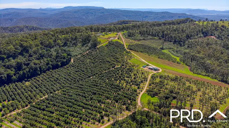158 Crescent Hills Road, Tabulam NSW 2469