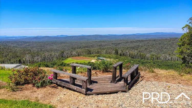 Fifth view of Homely rural property listing, 158 Crescent Hills Road, Tabulam NSW 2469