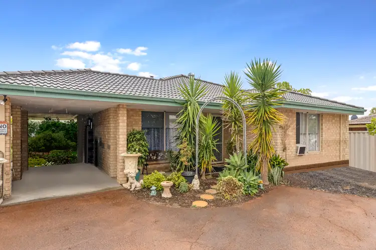 Main view of Homely house listing, 17 Songlark Mews, Geographe WA 6280
