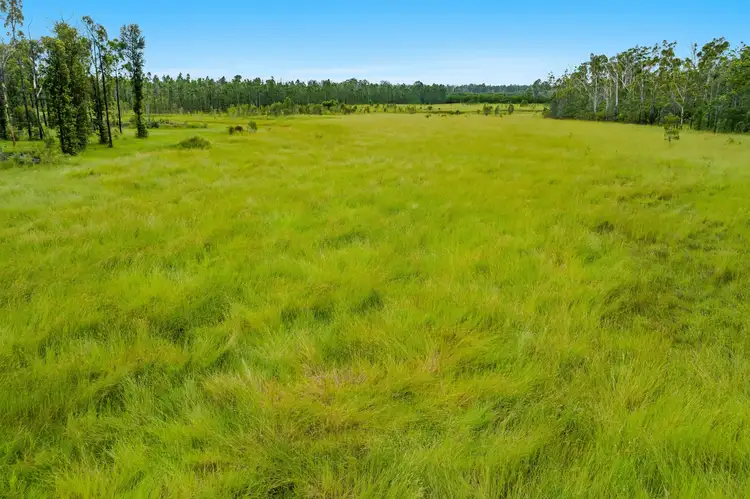 Fifth view of Homely rural property listing, 2930 Old Tenterfield Road, Busbys Flat NSW 2469