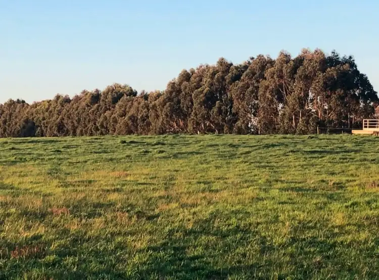 Sixth view of Homely rural property listing, 33940 Albany Highway, Narrikup WA 6326