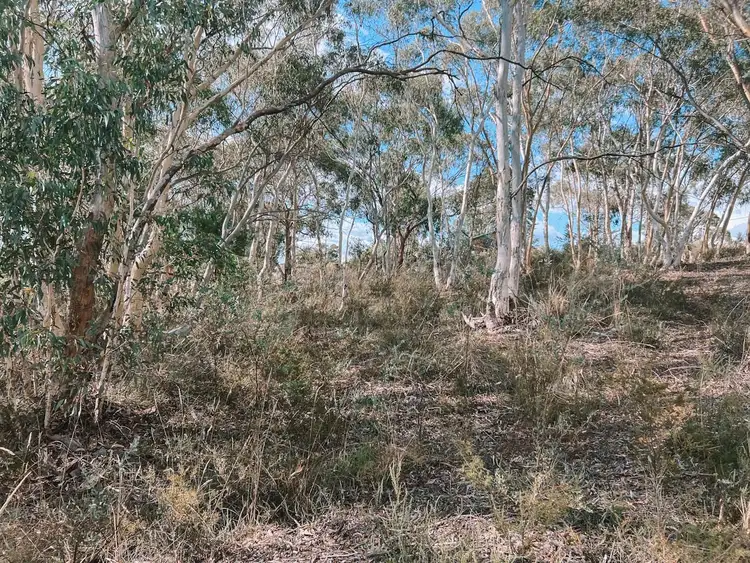 Sixth view of Homely land listing, 7-9 Armstrong Street, Rylstone NSW 2849