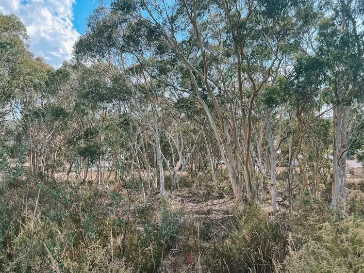 Seventh view of Homely land listing, 7-9 Armstrong Street, Rylstone NSW 2849