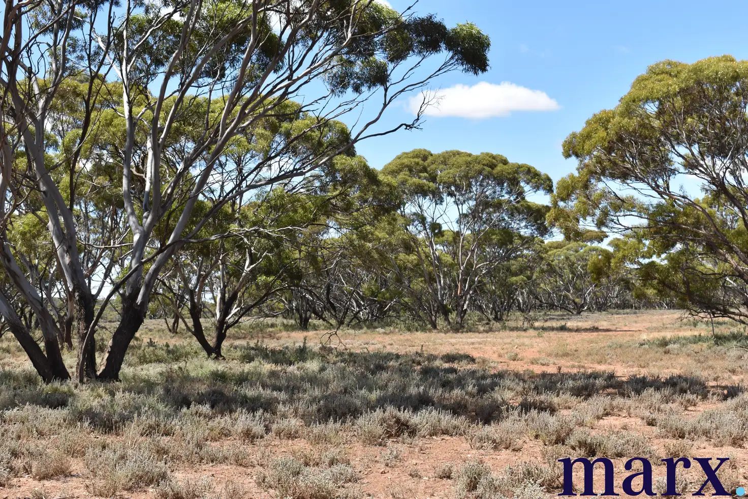 Main view of Homely rural property listing, Sec 290 Angle Road, Sutherlands SA 5374