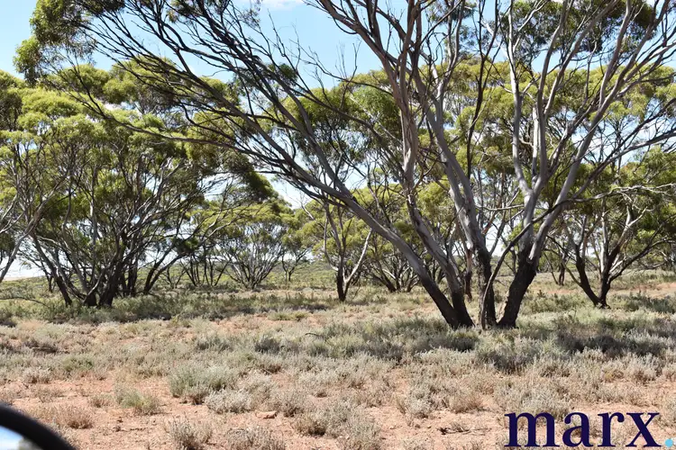 Second view of Homely rural property listing, Sec 290 Angle Road, Sutherlands SA 5374