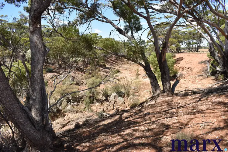 Third view of Homely rural property listing, Sec 290 Angle Road, Sutherlands SA 5374