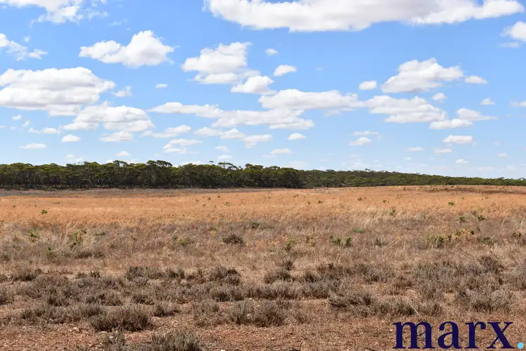 Sixth view of Homely rural property listing, Sec 290 Angle Road, Sutherlands SA 5374