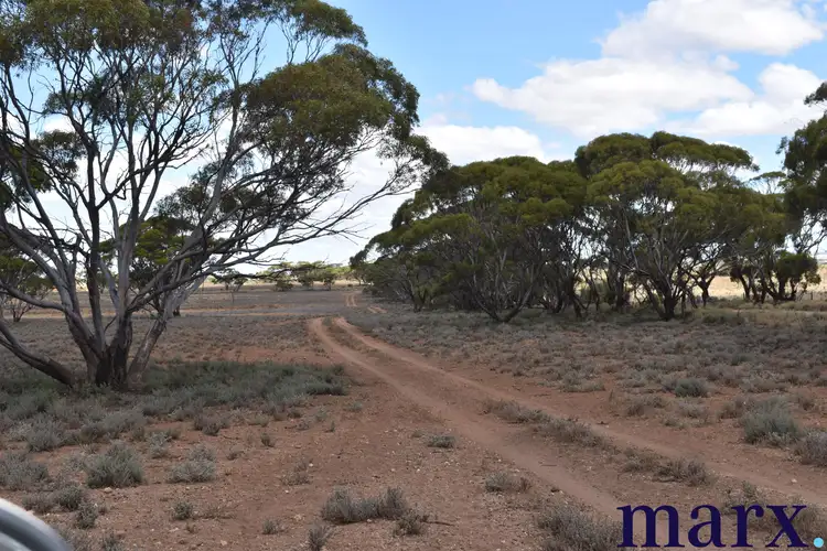 Seventh view of Homely rural property listing, Sec 290 Angle Road, Sutherlands SA 5374