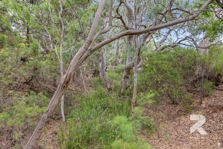 Seventh view of Homely land listing, 11 Spring Gully Road, Rostrevor SA 5073