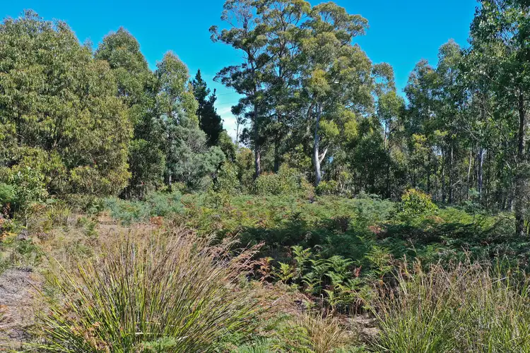 Fifth view of Homely land listing, LOT 1, 668 Back River Road, Magra TAS 7140