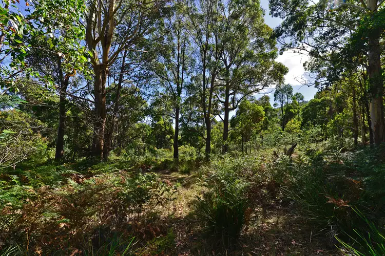 Seventh view of Homely land listing, LOT 1, 668 Back River Road, Magra TAS 7140