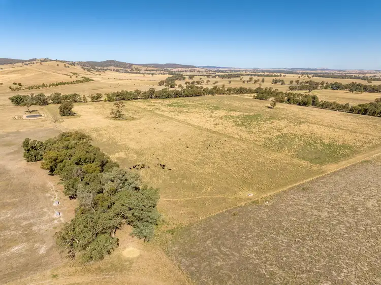Sixth view of Homely rural property listing, 'Karringal' 144 Waverley Road, Mangoplah NSW 2652