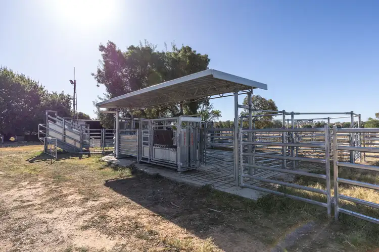 Seventh view of Homely rural property listing, 'Karringal' 144 Waverley Road, Mangoplah NSW 2652