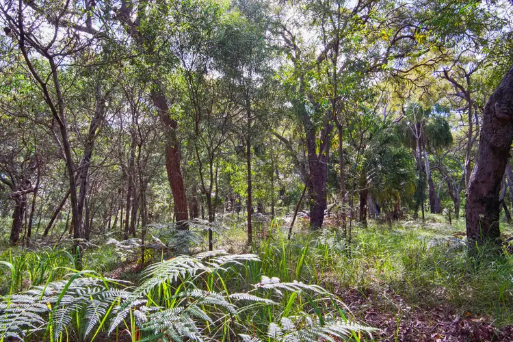 Fourth view of Homely land listing, Lot 83 Bloodwood Avenue Sunrise, Agnes Water QLD 4677
