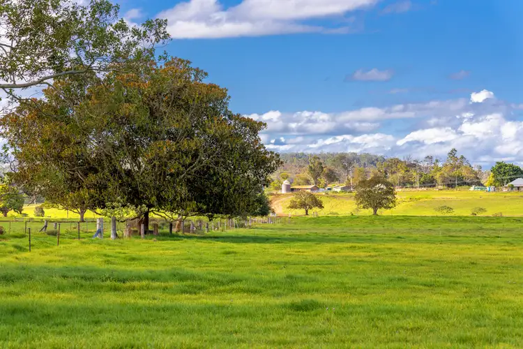 Third view of Homely rural property listing, 191-193 Tarrumbi Way, Kolodong NSW 2430