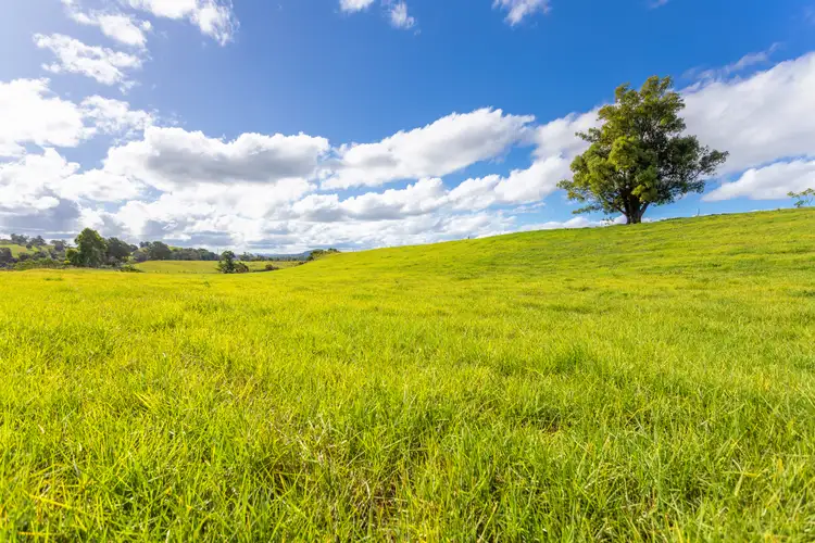 Sixth view of Homely rural property listing, 191-193 Tarrumbi Way, Kolodong NSW 2430