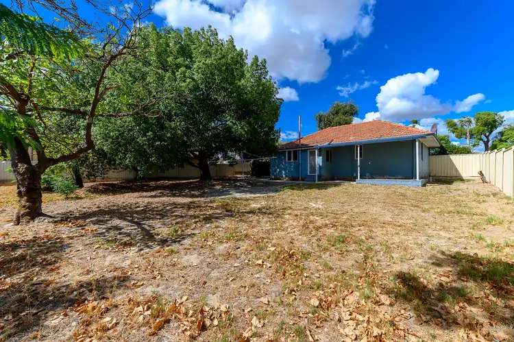 Fourth view of Homely house listing, 11 Bepton Way, Balga WA 6061