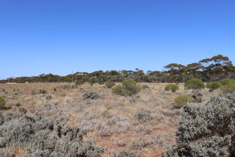 Second view of Homely rural property listing, Lot 2 Hunt Road, Barmera SA 5345
