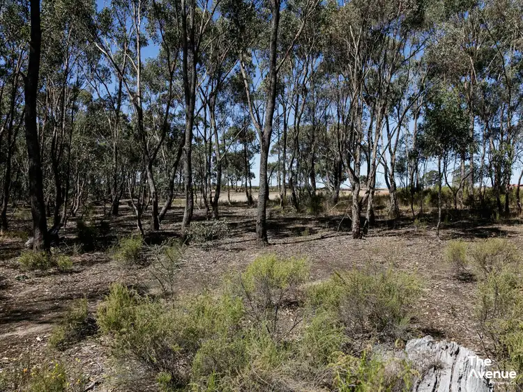 Seventh view of Homely land listing, 79 Anderson Court, Heathcote VIC 3523