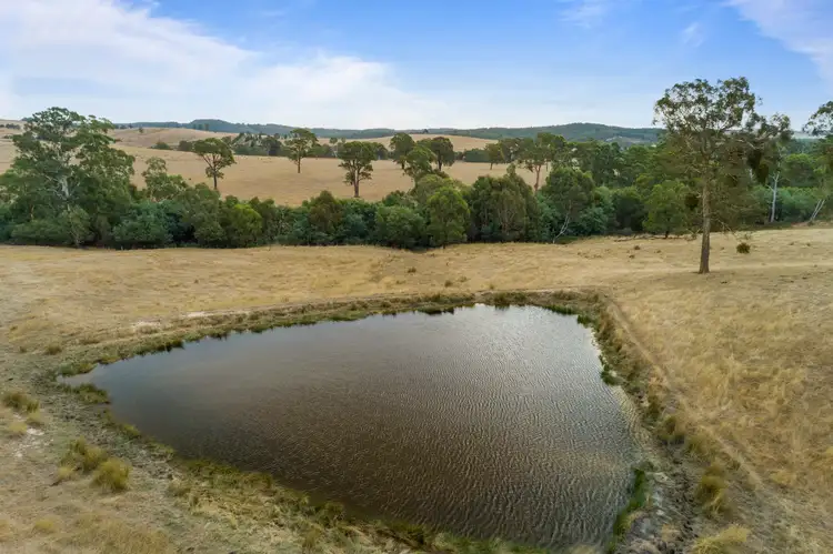 Fifth view of Homely rural property listing, Address available on request