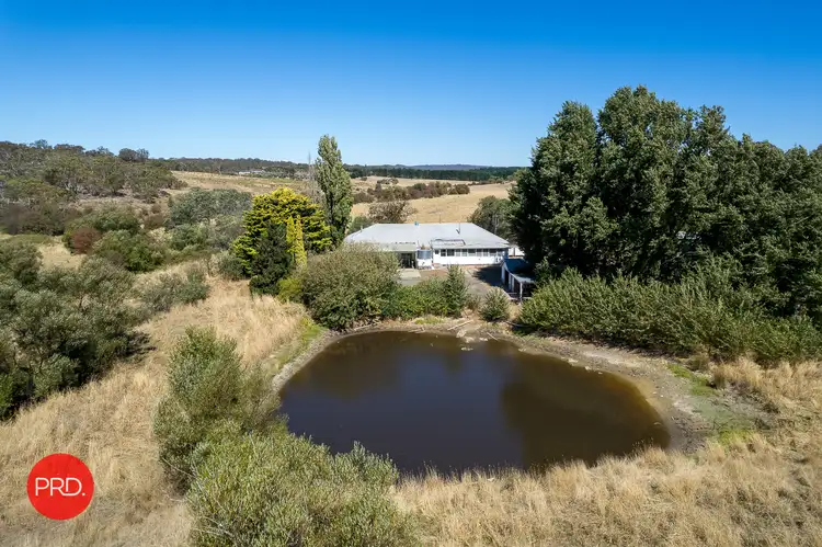 Third view of Homely rural property listing, 76 Summerhill Road, Bywong NSW 2621