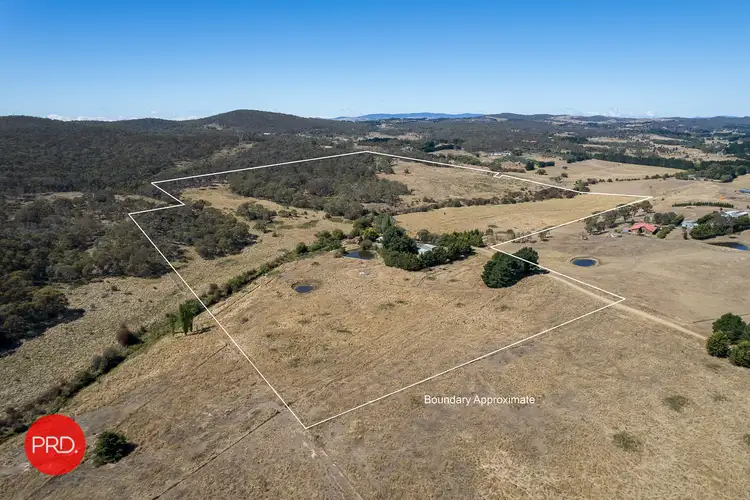 Fifth view of Homely rural property listing, 76 Summerhill Road, Bywong NSW 2621