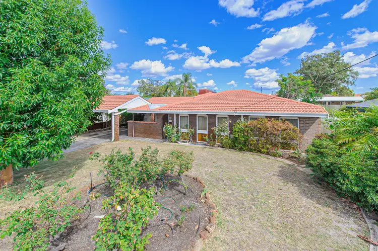 Main view of Homely house listing, 53 Scribbly Gum Square, Willetton WA 6155