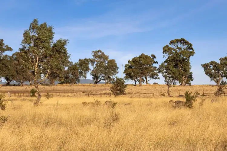 Fourth view of Homely land listing, 176 North Redesdale Road, Redesdale VIC 3444