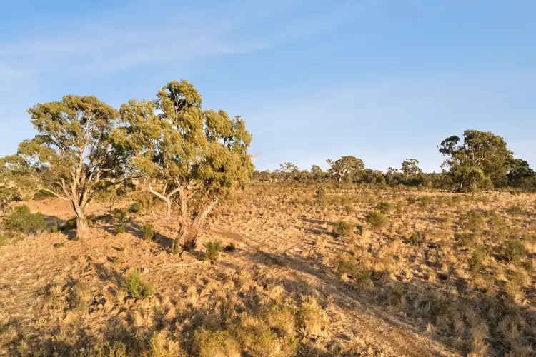 Fifth view of Homely land listing, 176 North Redesdale Road, Redesdale VIC 3444
