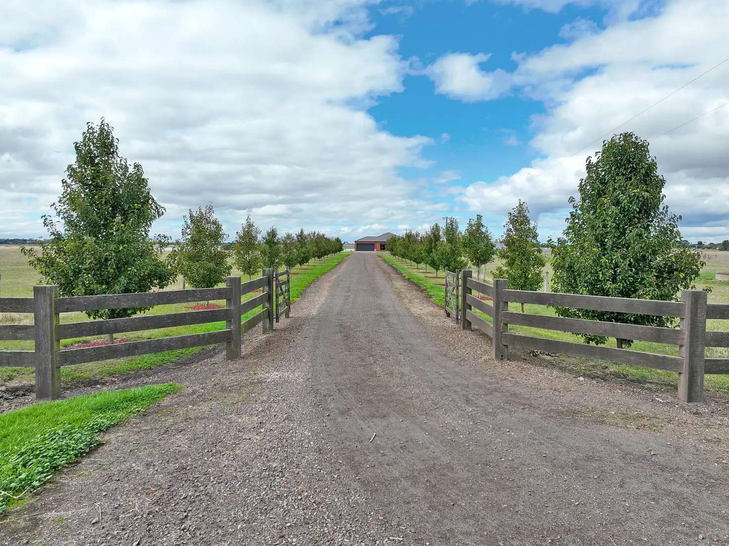 Main view of Homely rural property listing, 130 Maloneys Rd, Camperdown VIC 3260