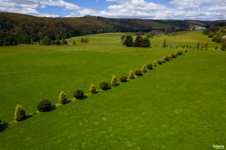 Fifth view of Homely house listing, 316 North Lilydale Road, Lilydale TAS 7268