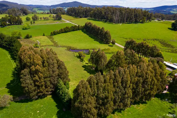 Sixth view of Homely house listing, 316 North Lilydale Road, Lilydale TAS 7268